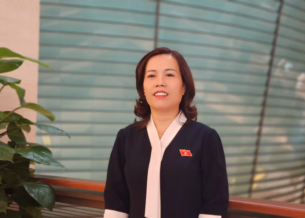 quoc hoi rat dong hanh cung chinh phu thao go nhung vuong mac kho khan trong thuc tien hinh 2