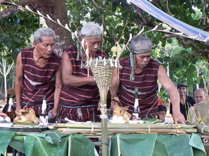 dong nai muon ghi danh le hoi sayangva la di san quoc gia hinh 1