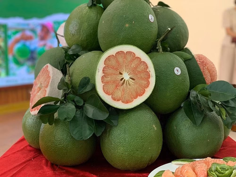 nong nghiep viet nam 6 thang dau nam duoc ca mua va duoc ca gia hinh 1