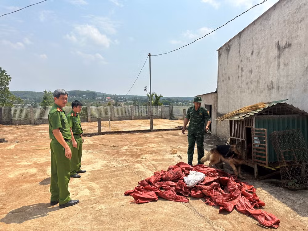 cong an triet pha duong day van chuyen mua ban ma tuy lien tinh so luong lon hinh 1