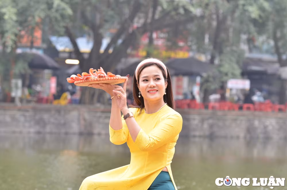 hoa gao co thu dua nhau khoe sac do ruc ro o ngoai thanh ha noi hinh 8