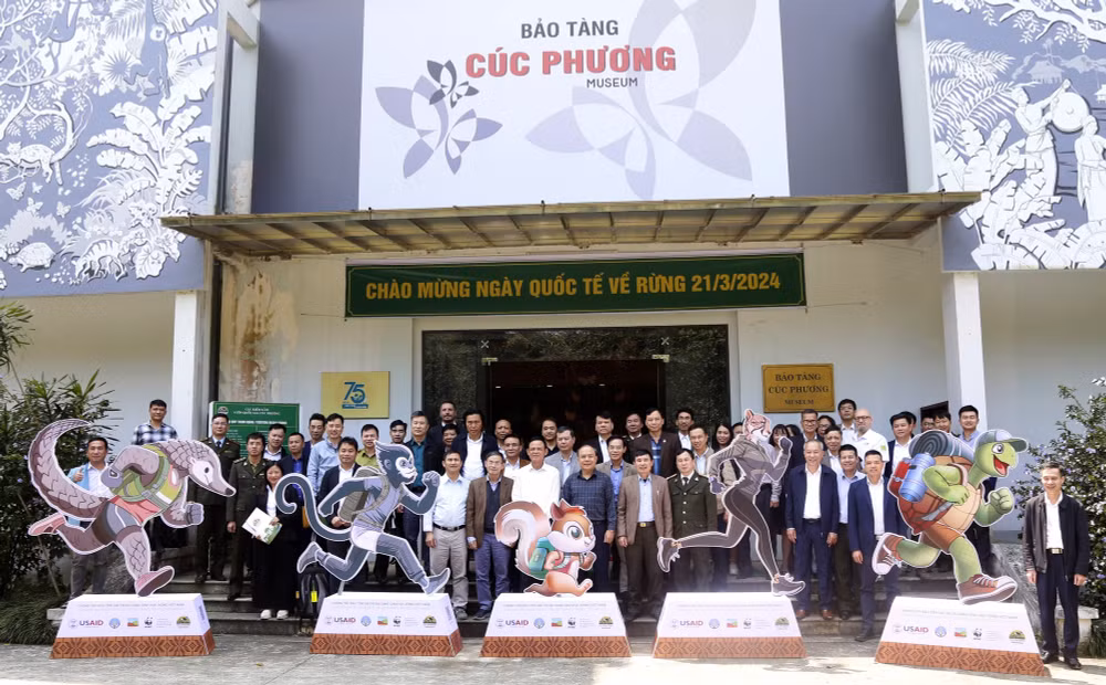 giai chay cuc phuong jungle paths nam 2024 du kien co 2000 van dong vien tham gia hinh 2