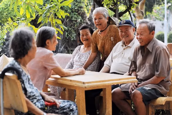 trinh chinh phu du thao chien luoc quoc gia ve nguoi cao tuoi den nam 2030 tam nhin 2045 trong quy iv 2024 hinh 1
