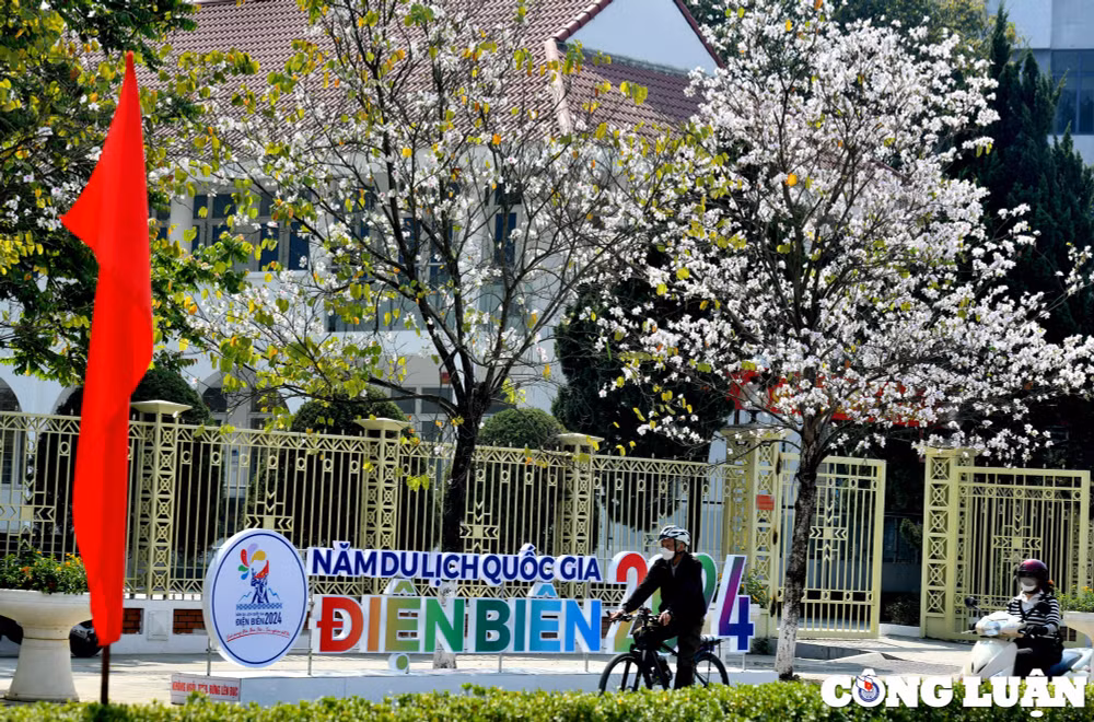ghe tham dien bien vao mua hoa ban khoe sac khap nui rung tay bac hinh 4