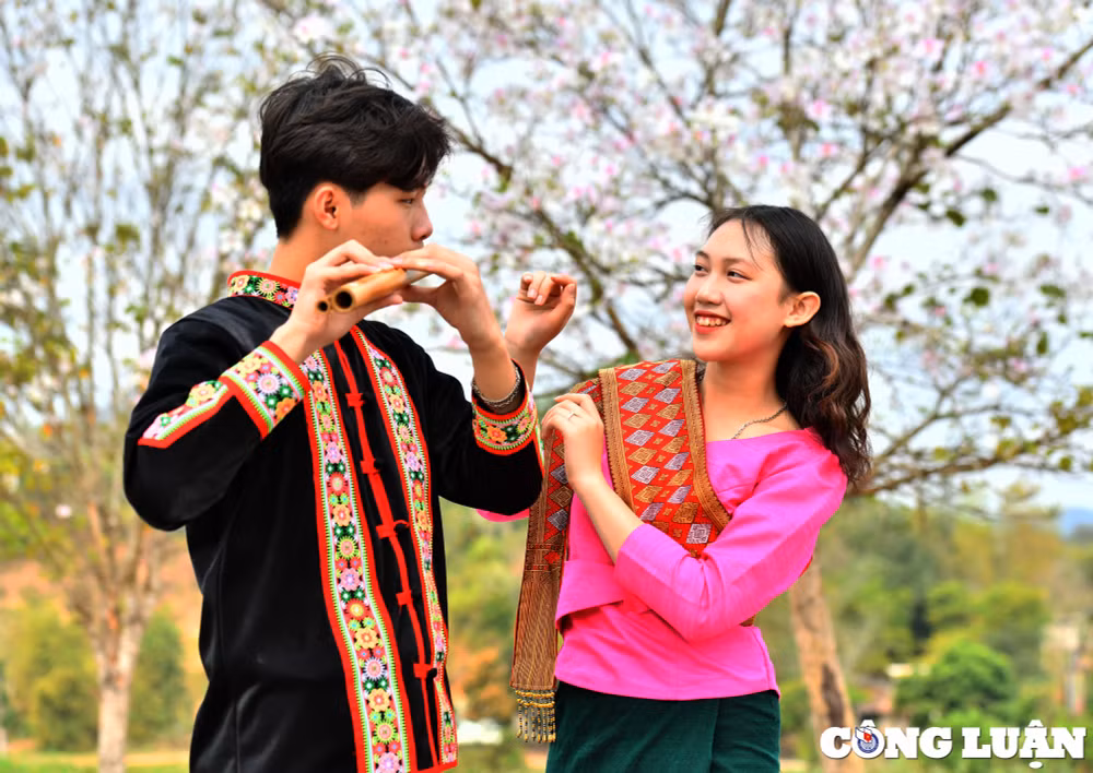 ghe tham dien bien vao mua hoa ban khoe sac khap nui rung tay bac hinh 7