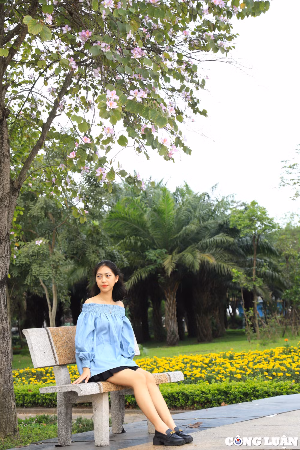 gioi tre ha noi thich thu check in hoa ban tuyet dep o cong vien cau giay hinh 6