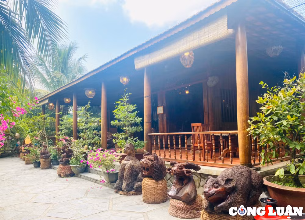 doc dao ngoi nha bang dua co mot khong hai o mien tay hinh 1