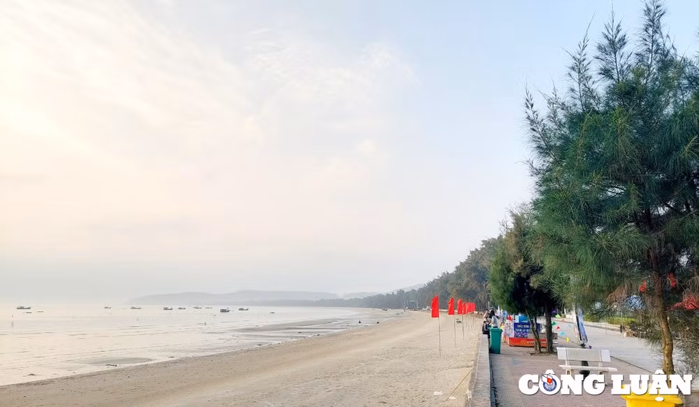 quang ninh ruc ro huyen dao co to trong le ky niem 30 nam ngay thanh lap huyen hinh 4