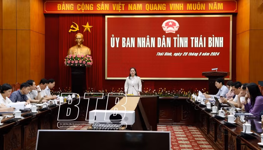 thai binh con nhieu vuong mac khi trien khai mua sam dau thau thuoc hoa chat vat tu y te hinh 1