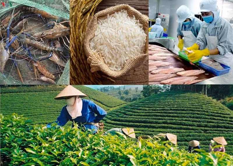 xay dung bao ho thuong hieu nong san viet muon con hon khong hinh 1