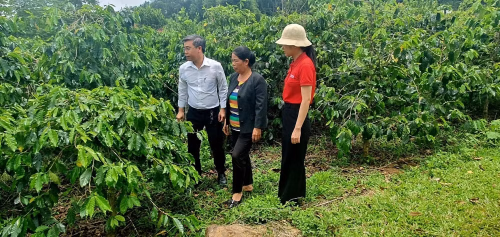 agribank 36 nam kien dinh vung vang cung su menh tam nong hinh 4