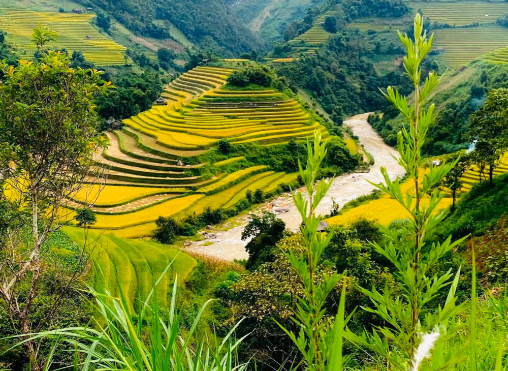 viet nam la quoc gia chau a duy nhat thuoc nhom du lich co y thuc hinh 1