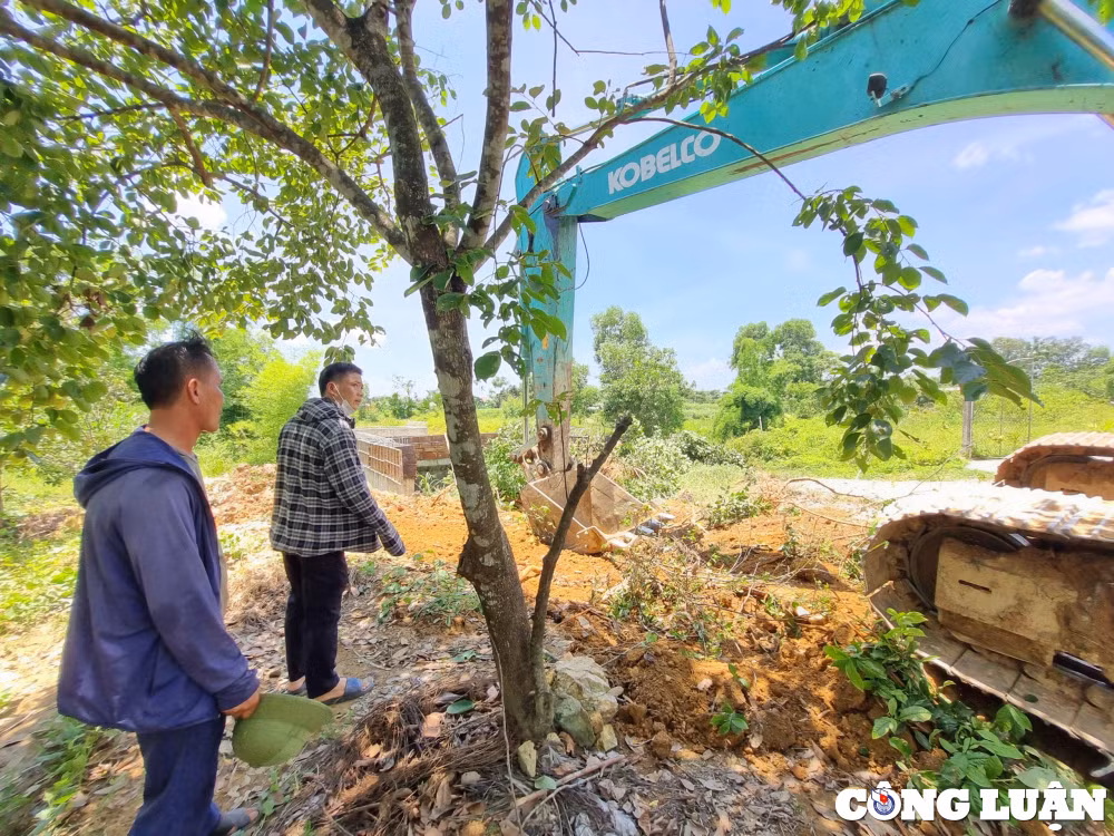 nguoi dan xa ngoc son tu nguyen hien dat lam duong hinh 2