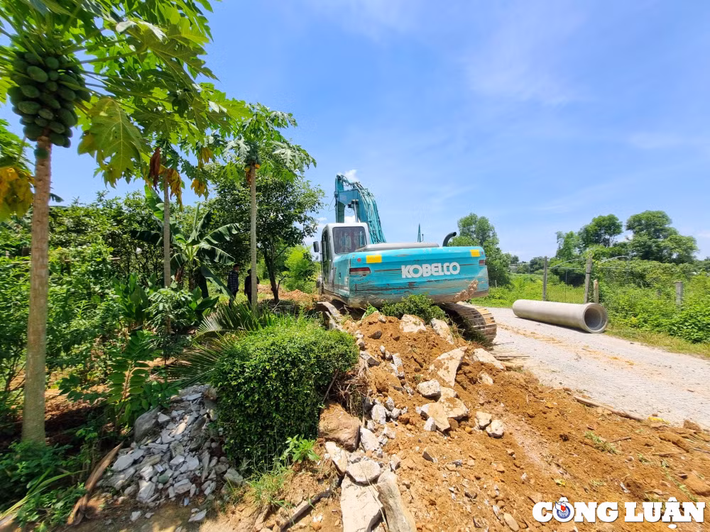 nguoi dan xa ngoc son tu nguyen hien dat lam duong hinh 3