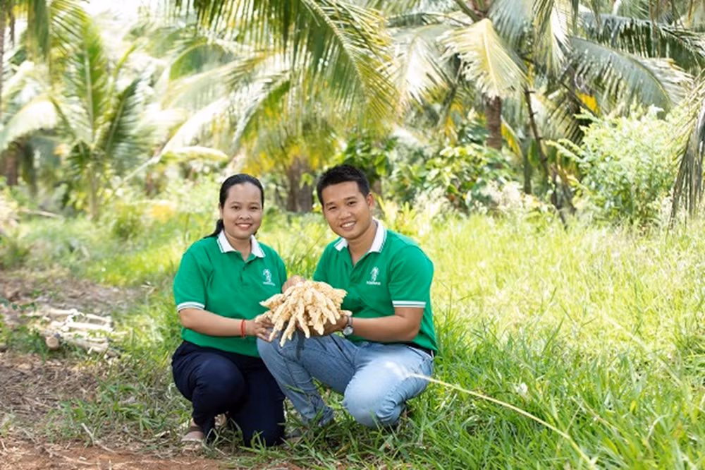 cap doi thac si khoi nghiep voi nghe mat xa hoa dua lay mat hinh 1