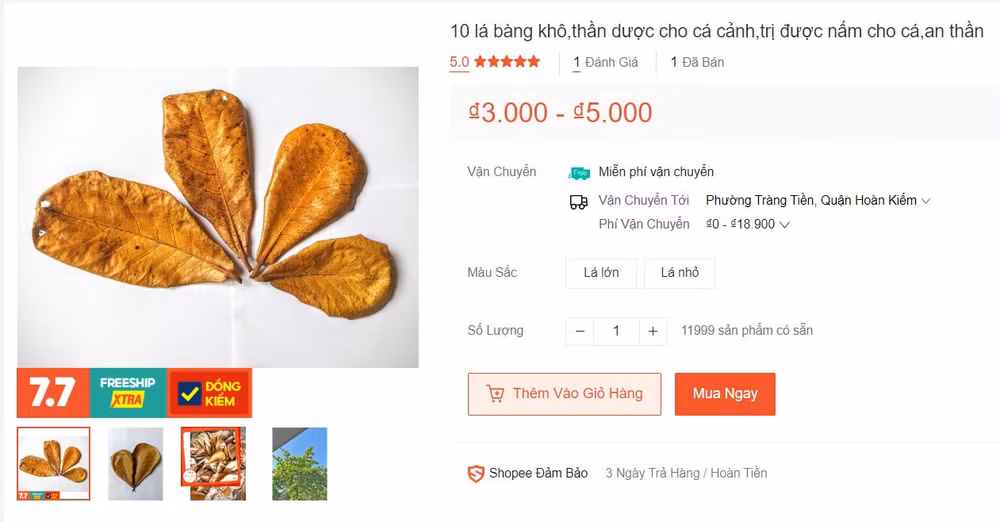 la cay vo trau vut bo bat ngo doi doi tren san thuong mai dien tu hinh 1