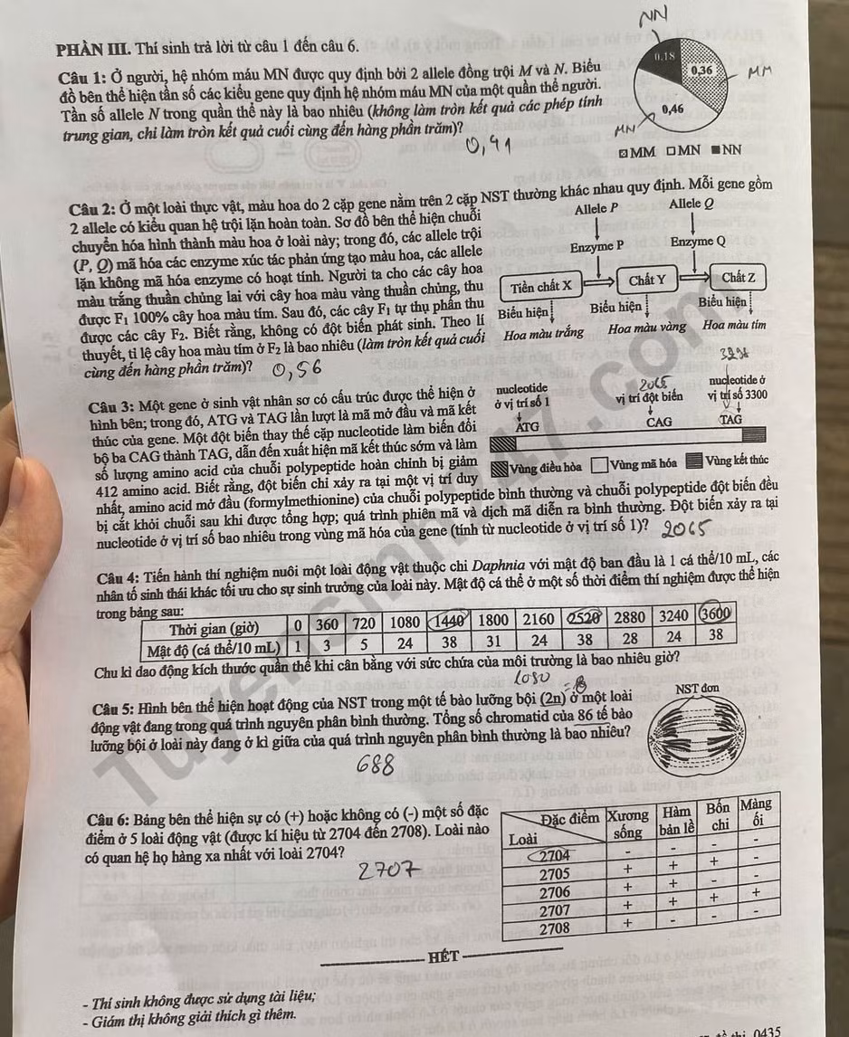 s4.jpg