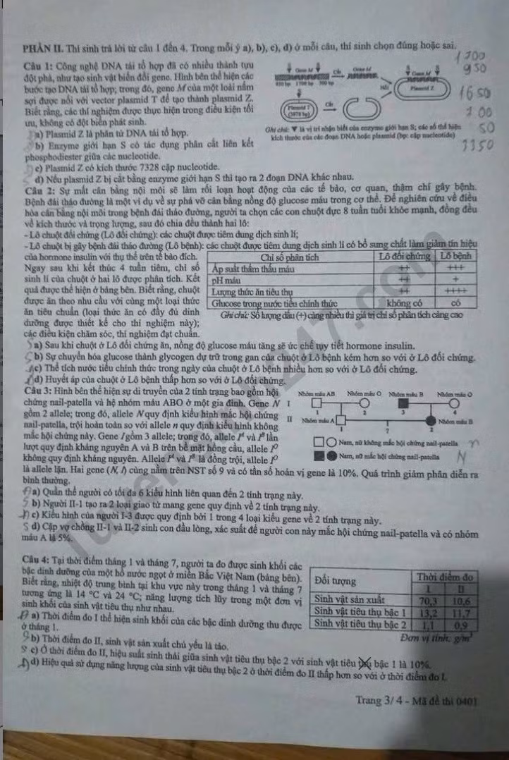 de-thi-tot-nghiep-thpt-mon-sinh-ma-01-3-result.jpg
