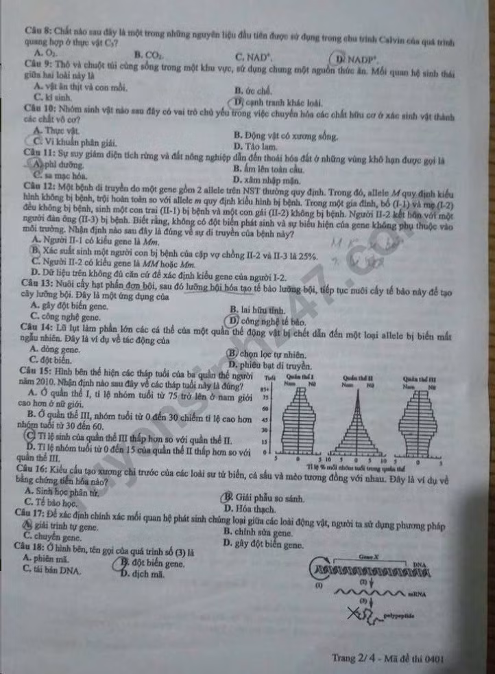 de-thi-tot-nghiep-thpt-mon-sinh-ma-01-2-result.jpg