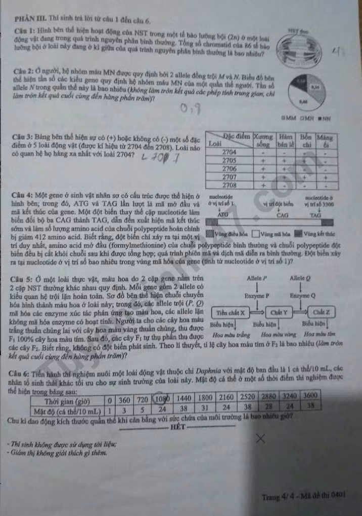 de-thi-tot-nghiep-thpt-mon-sinh-ma-01-4-result.jpg