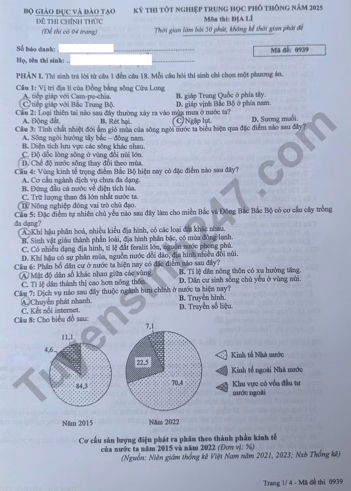 dl391.jpg
