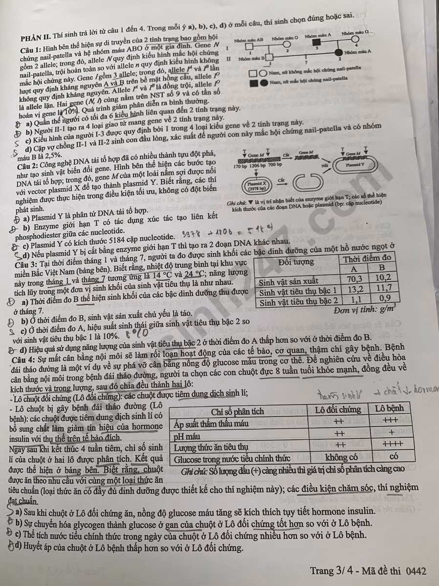 sinh4423.jpg