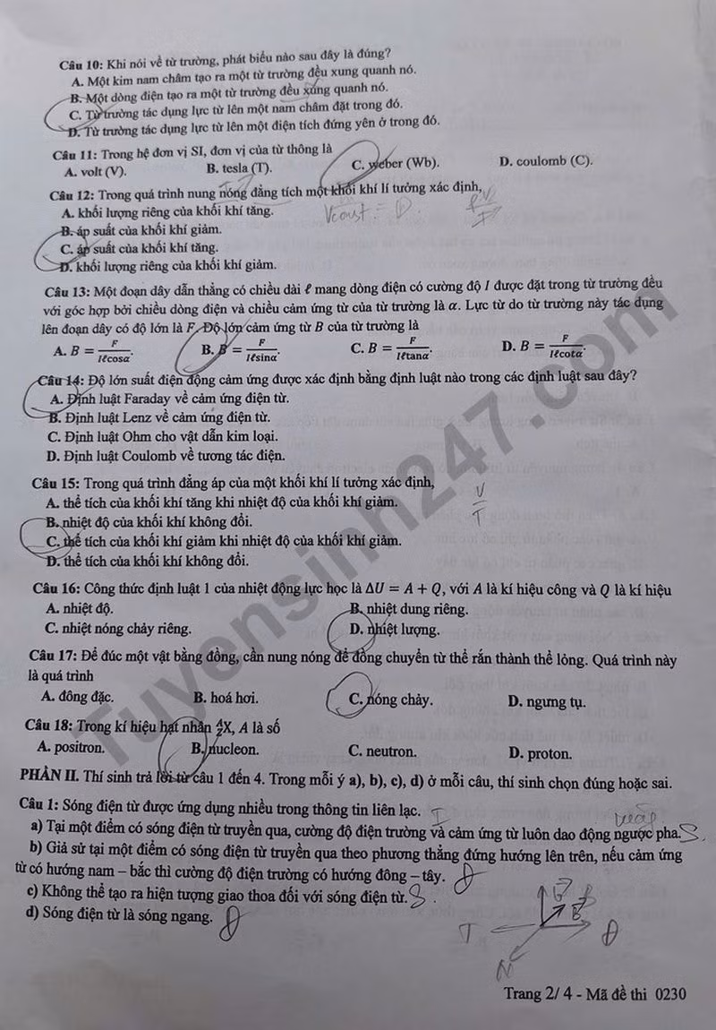 l2(1).jpg