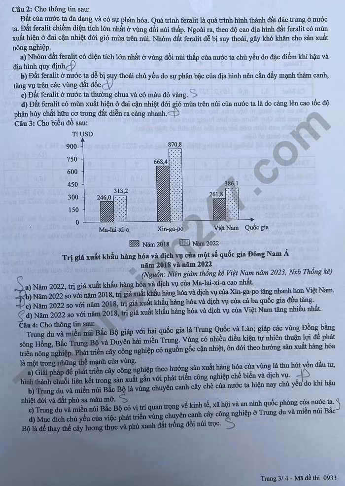 d3(1).jpg