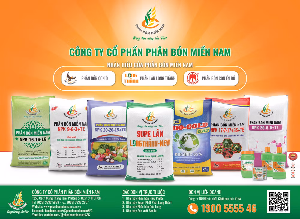 Banner Quangcao-Final-01