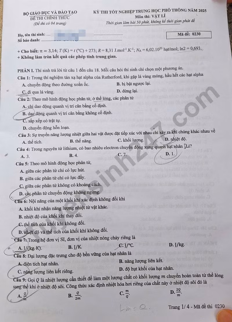l1(1).jpg