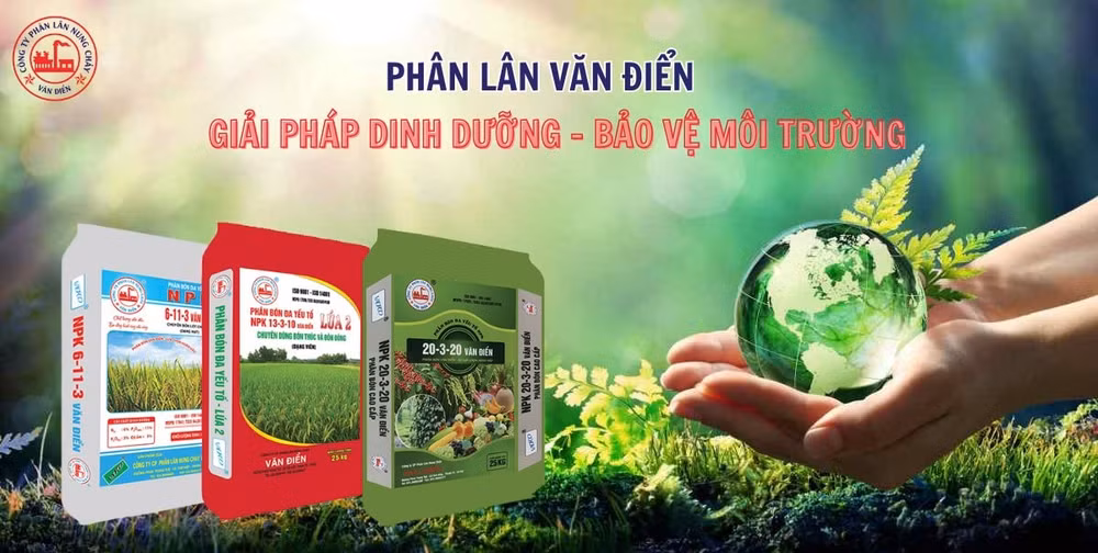 1. phân-lân-bảo-vệ-môi-trường
