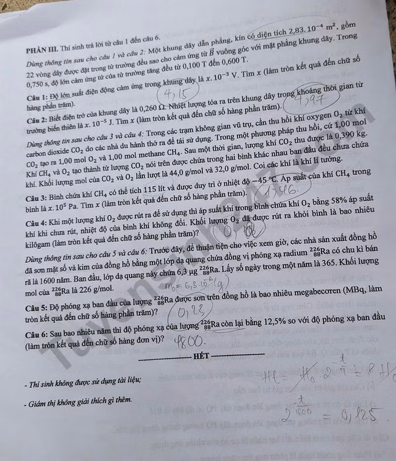 l4(1).jpg