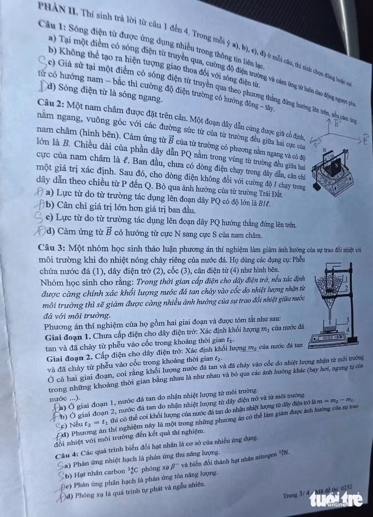 l3.jpg