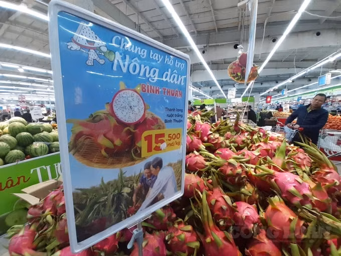Giá bán cho 1kg thanh long ruột trắng là 15.500đ. Ảnh H.Long.
