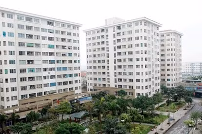 Đề xuất xây dựng căn hộ 25m2 đang nhận được nhiều sự quan tâm trên thị trường BĐS thời điểm này.