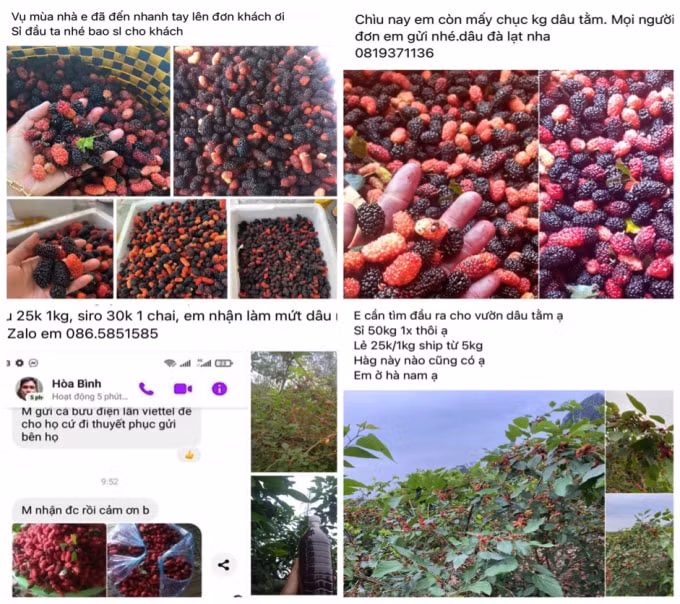 dau tam chin xuong pho nguoi dan rao riet tim mua hinh 2