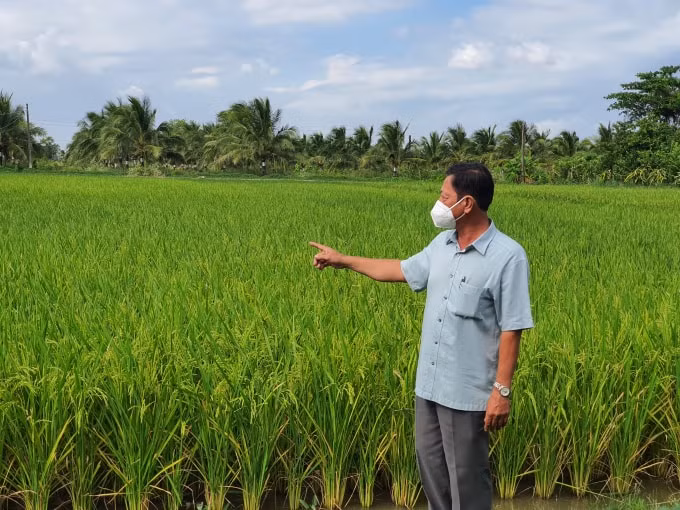 trung tam giong nong nghiep bac lieu lai tao giong lua thich ung voi bien doi khi hau hinh 1