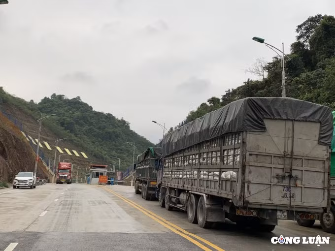 so luong xe un tac tren cac cua khau tinh lang son da giam hinh 1