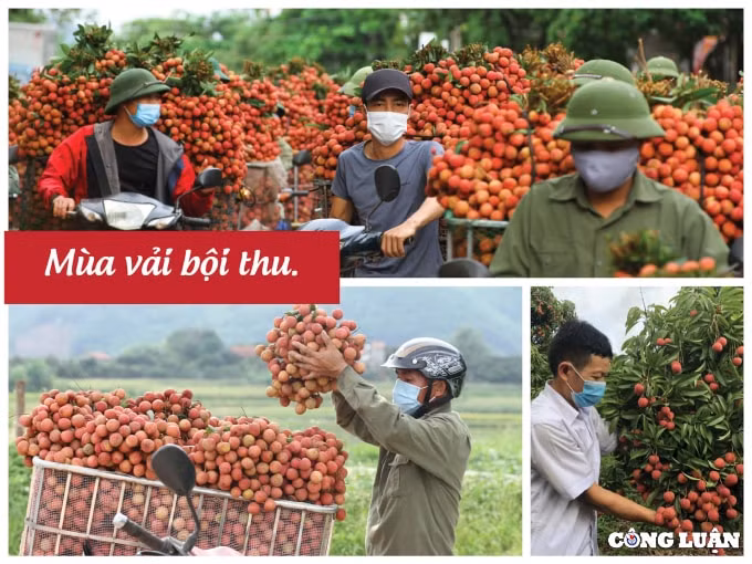 vai thieu bac giang chuan bi ke hoach di my hinh 1