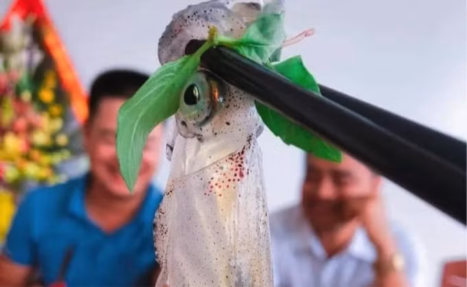 muc nhay vung ang hut khach dau mua hinh 2