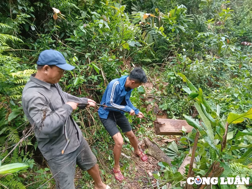 mau rung van chay o xu thanh xac dinh duoc 2 doi tuong pha rung hinh 2