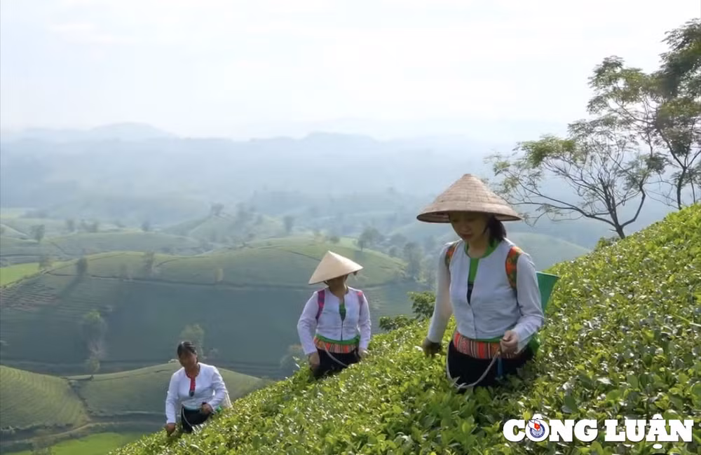 phu tho giam gia nhieu dich vu du lich dip cuoi nam hinh 2