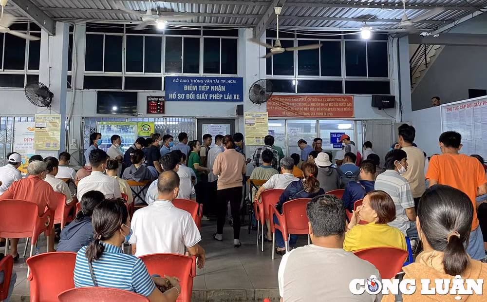 so bi phat nguoi dan tp hcm do xo di doi bang lai xe hinh 1