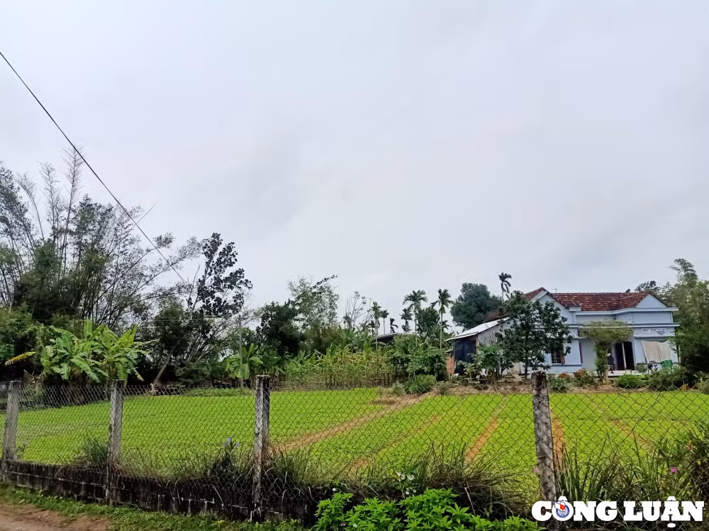 vu ban an dan su hon 40 nam chua duoc thi hanh bao gio co hoi ket hinh 1