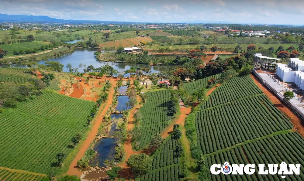 kham pha doi che tam chau bao loc thien duong mau xanh hinh 1