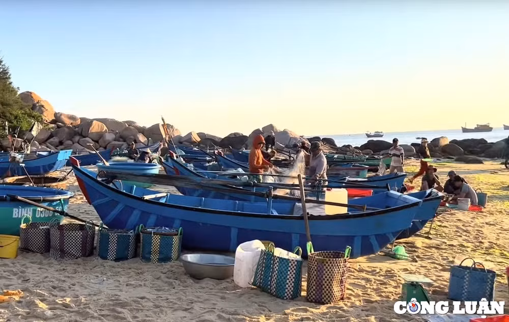 trai nghiem dieu thu vi o cho ca o phu yen hinh 2