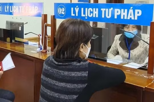 ha noi chan chinh viec lam dung yeu cau nop phieu ly lich tu phap hinh 1