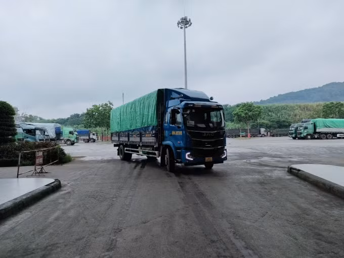 lao cai xuat khau 3000 tan qua chuoi tuoi sang thi truong vung tay nam trung quoc hinh 1