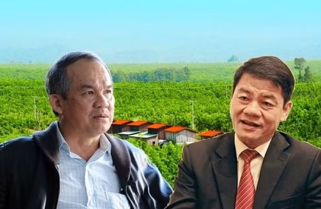 lo luy ke mat can doi tai chinh vi sao hagl agrico khong bi nghi ngo kha nang hoat dong lien tuc hinh 1