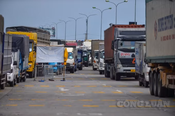 xay dung ke hoach khoi phuc hoat dong van tai tren ca 5 linh vuc hinh 1